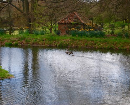 duck pond Swafield Hall